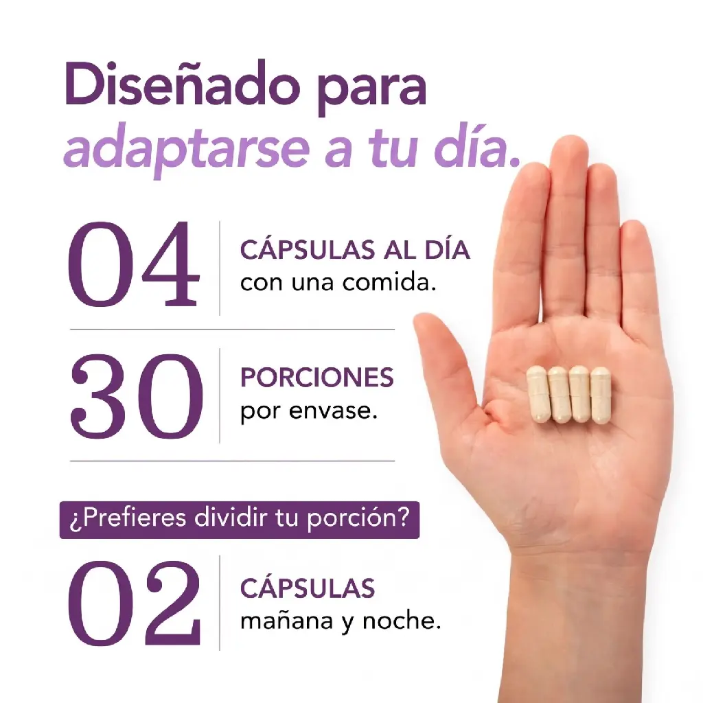 Regenerate_image_with_Spanish_text_2K_20260912023158.webp